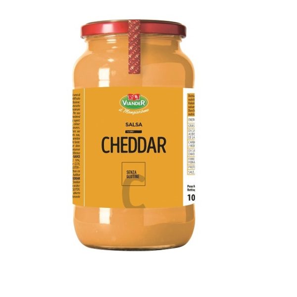salsa-cheddar-gr-1060-viander-0004478-1